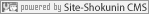 �z�[���y�[�W�����E�X�V�V�X�e���|�T�C�g�E�lCMS